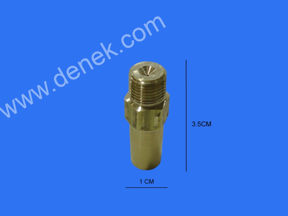 ESP029.jpg