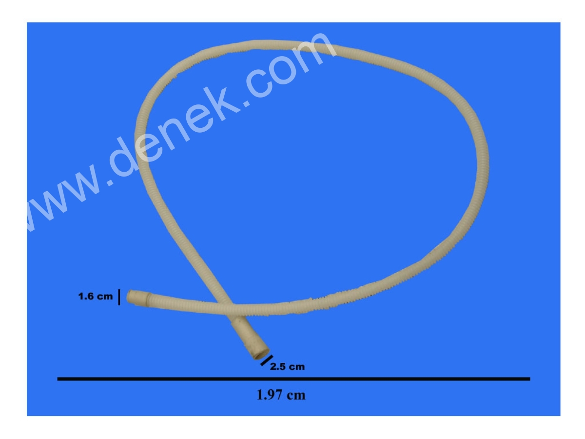 WD24X10003J.jpg