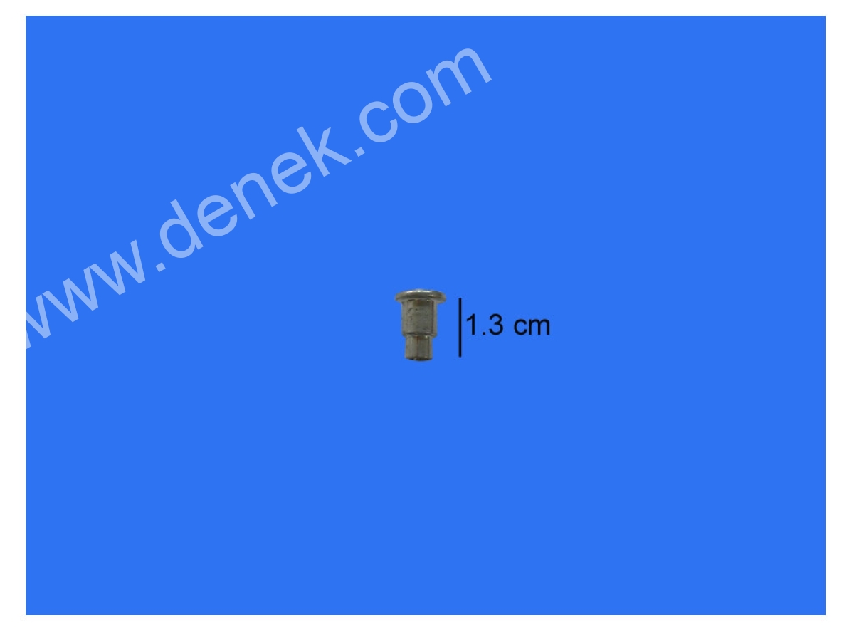 005090.jpg