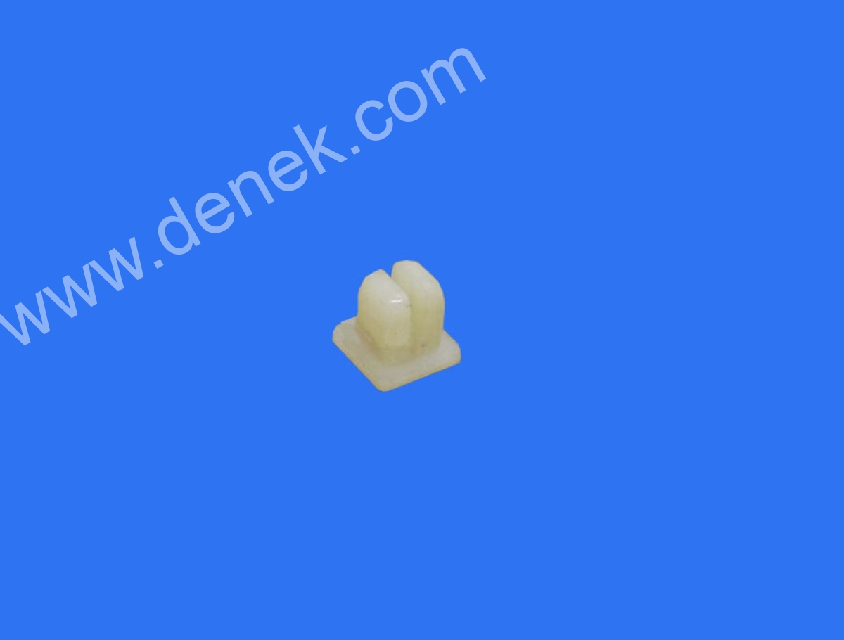 538449.jpg